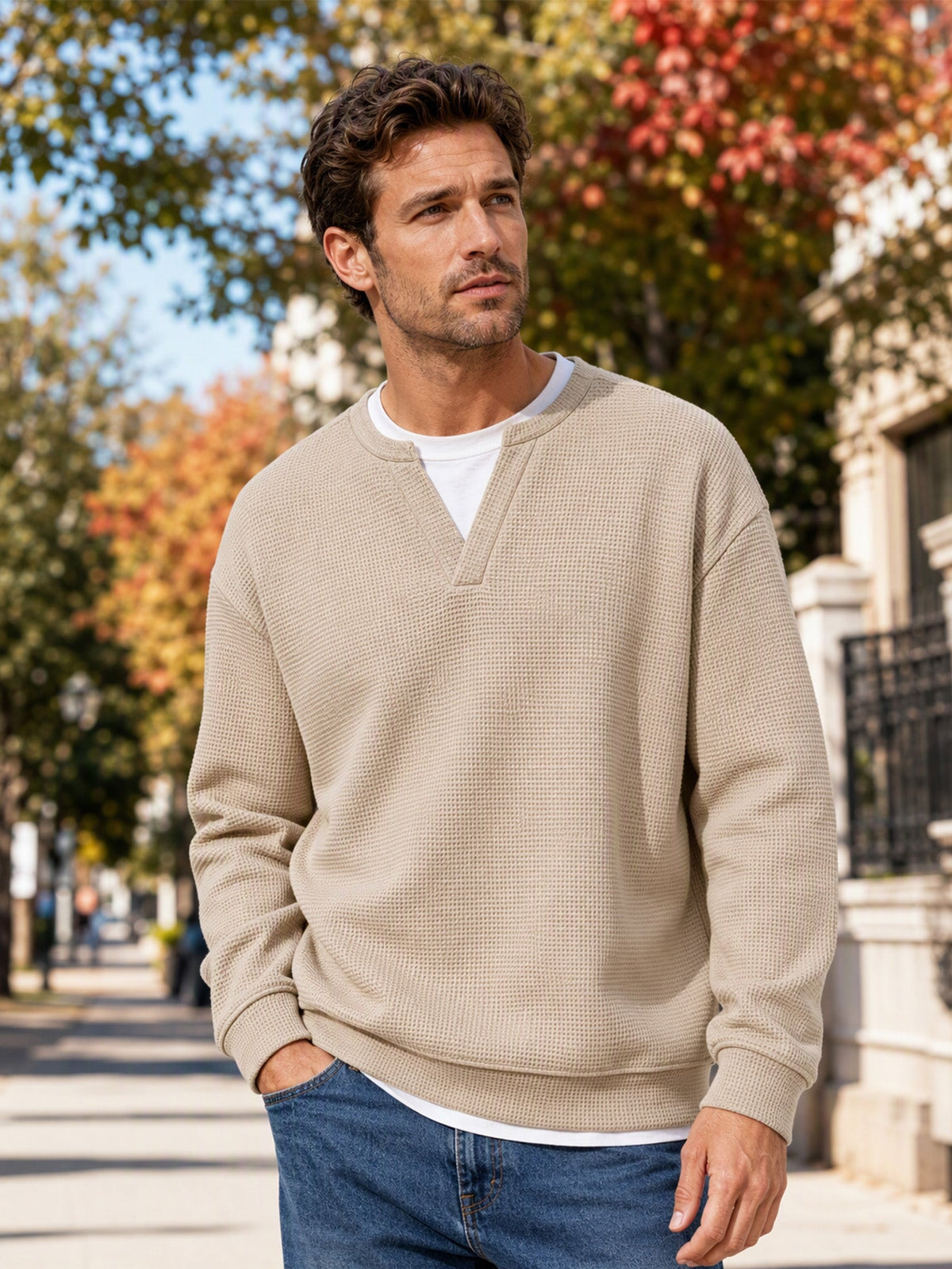Theron | Textured Notch Neck Sweater