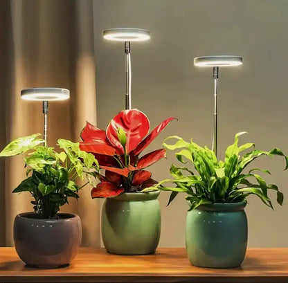 Floriva | Halo LED Plant Growth Light