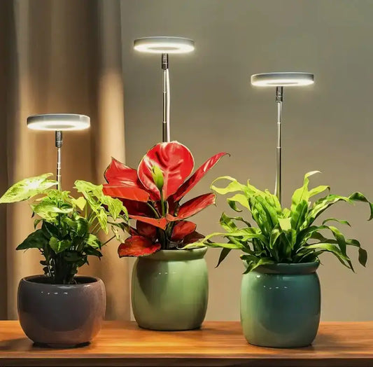 Floriva | Halo LED Plant Growth Light