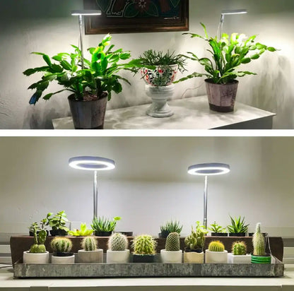 Floriva | Halo LED Plant Growth Light