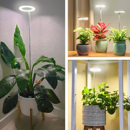Floriva | Halo LED Plant Growth Light
