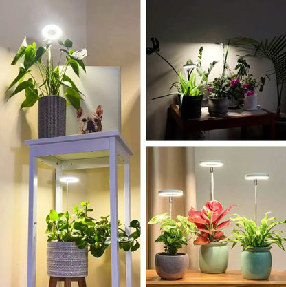 Floriva | Halo LED Plant Growth Light