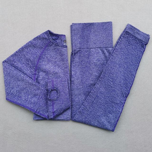 Ilvara | Stretch Fit Long Sleeve Gym Set